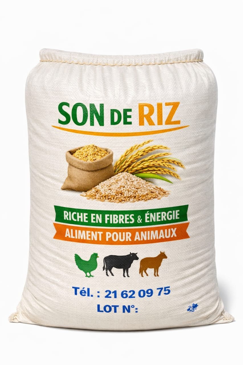 Son de riz